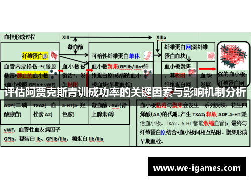 评估阿贾克斯青训成功率的关键因素与影响机制分析