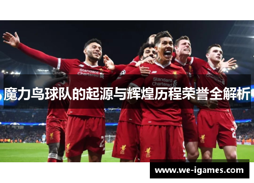 魔力鸟球队的起源与辉煌历程荣誉全解析