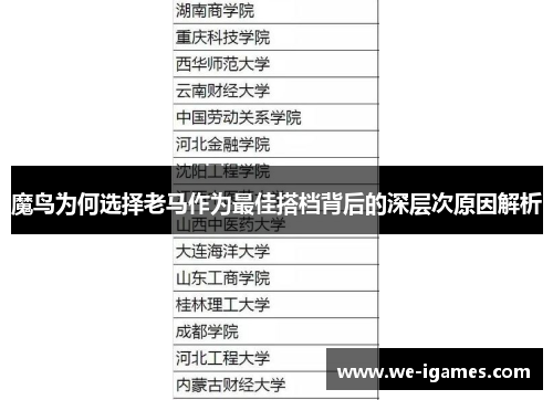 魔鸟为何选择老马作为最佳搭档背后的深层次原因解析